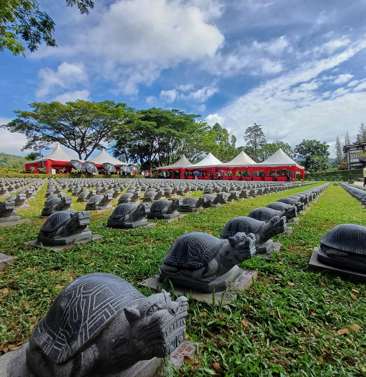 NV Seed 龙龟生基园